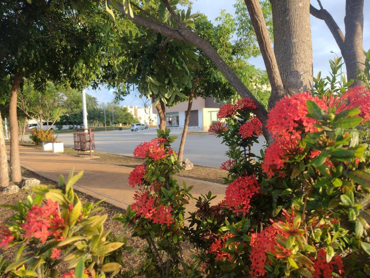 Saramuyah Home แคนคูน ภายนอก รูปภาพ